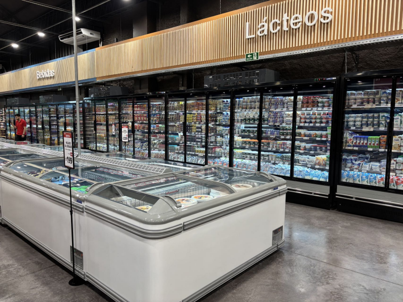 Commercial Chest Deep Freezer