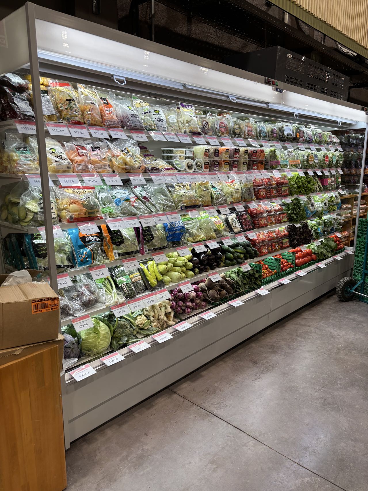 微信图片_20241220105337